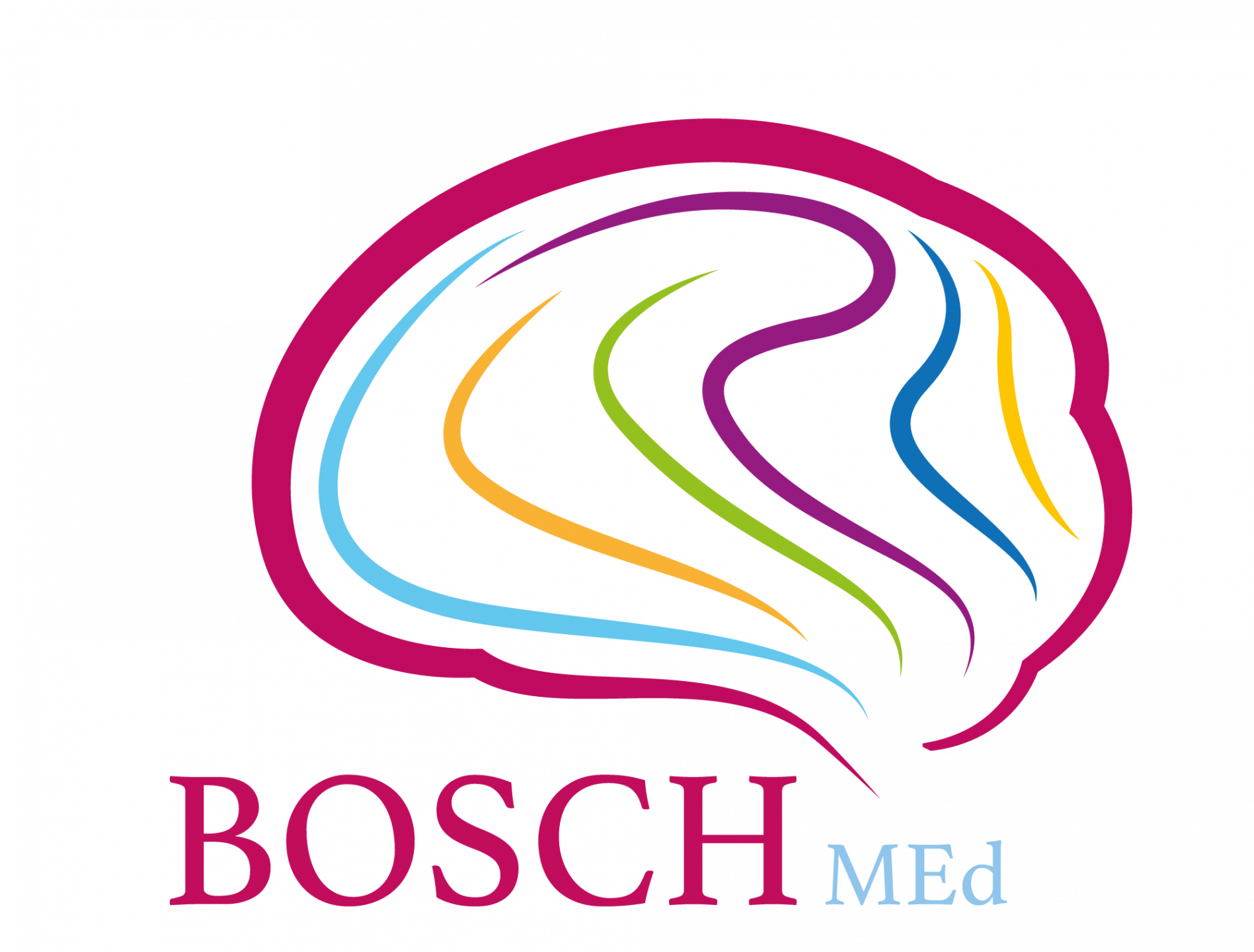 Logo tds-bosch  010222